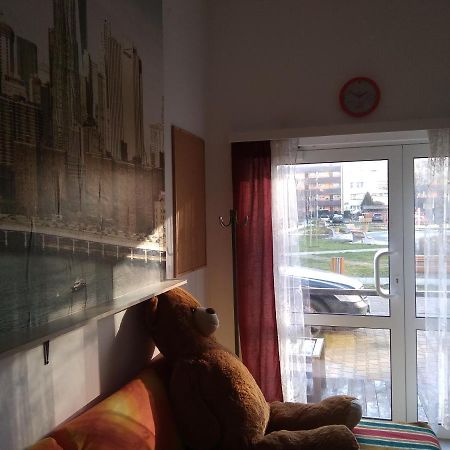 Apartament Przy Parku Noclegi Płock Esterno foto
